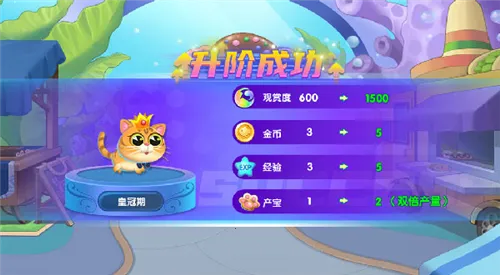 �����������ڹ�