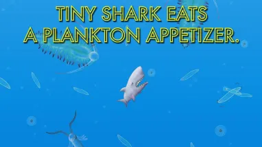 ��ζ���������