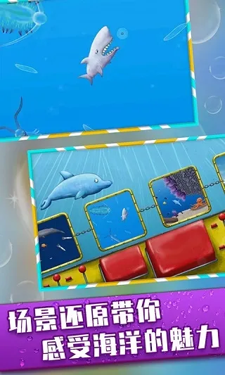 ��ζ������������ذ�װ