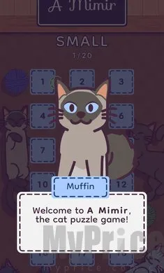 ���׶�(è�������Ϸ)