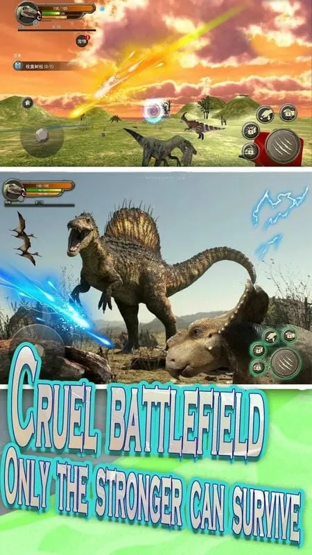 ���������������Ϸ